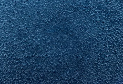 Blue air bubbles Stock Photos
