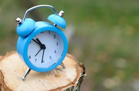 A blue alarm clock stands on the surface of a felled tree stump . The concept Stock Photos