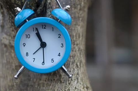 Blue alarm clock on a tree trunk. The concept of time. Stock Photos