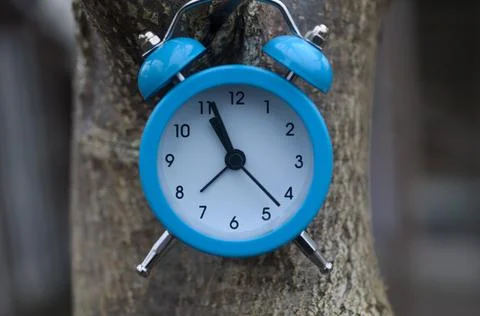 Blue alarm clock on a tree trunk. The concept of time. Stock Photos