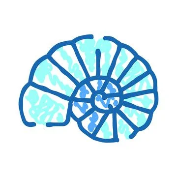 Blue ammonite shell drawing illustration on white background Stock Illustration