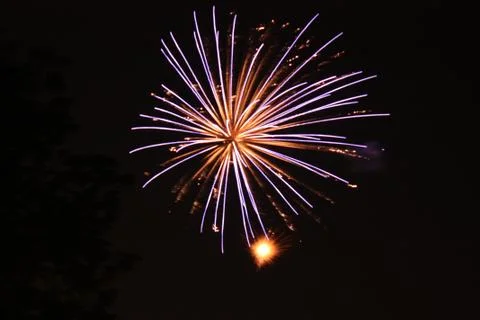Blue and Gold Firework Stock Photos