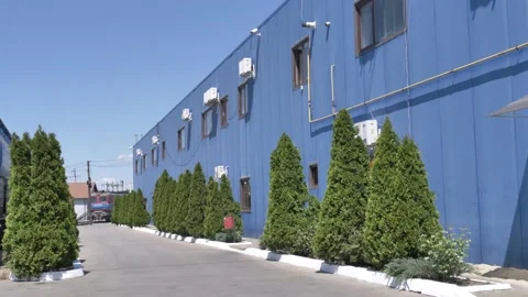 Blue and Green Stock Footage 156811501