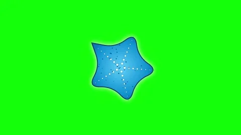 Blue and Green Star on Green Screen Background Horizontal 16:9 Video stock 339331237