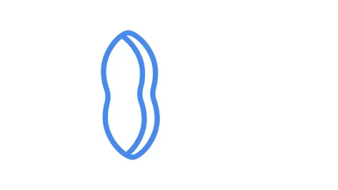 Blue and grey outline of a peanut, showcasing its distinctive shape and tex.. Stock Footage 334913561