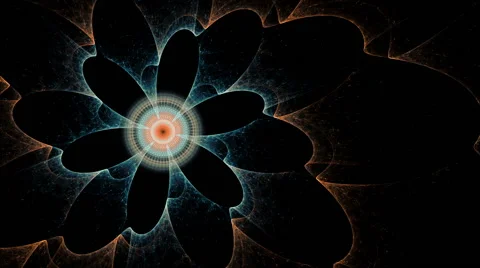 Blue and Orange Flower, Spring, Floral Background Stock Footage 49535946