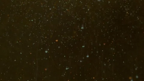 Blue and orange particles floating up 스톡 동영상 331097803