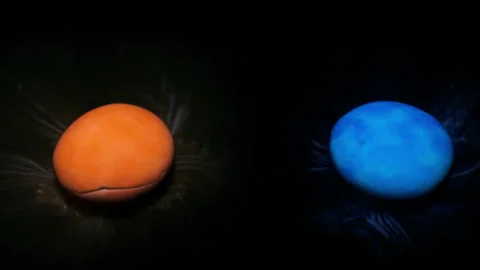 Blue and orange sweets dissolve in water, colorful background, time lapse, 4k Stock Footage 131188262