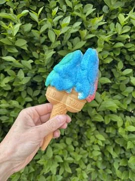 Blue and pink ice cream in a hand with a green bush background Stock Photos