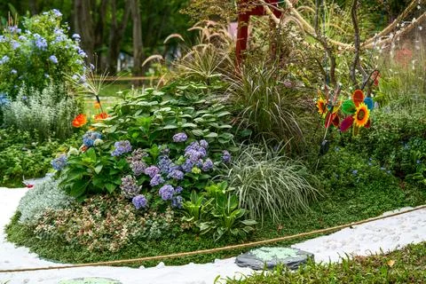Blue and purple hydrangea border and colorful windmill decorative landscape Stock Photos