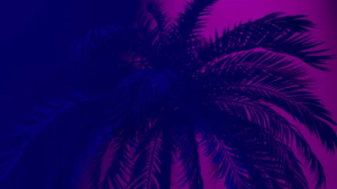 Blue and purple rays quickly replace each other, illuminating a tall palm tree Stock Footage 152577457