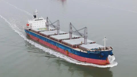 Blue and red bulk cargo vessel multiple deck cranes sealed hatch covers cruising Stock Footage 328205284