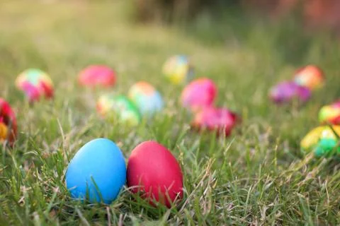 Blue and red easter hen eggs Stock Photos