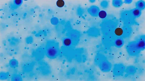 Blue And Red Glowing Particles Motion Loop  Stock-Footage 224935071