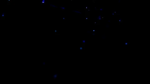 Blue and red laser and fiber optic cable light Stock Footage 338192864