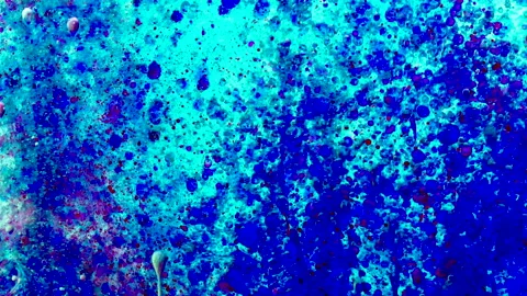 Blue and red paint drops in oil. Bubbles floating in space and slowly falling Stock-Footage 149277189