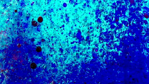 Blue and red paint drops in oil. Bubbles floating in space and slowly falling Stock Footage 149277560