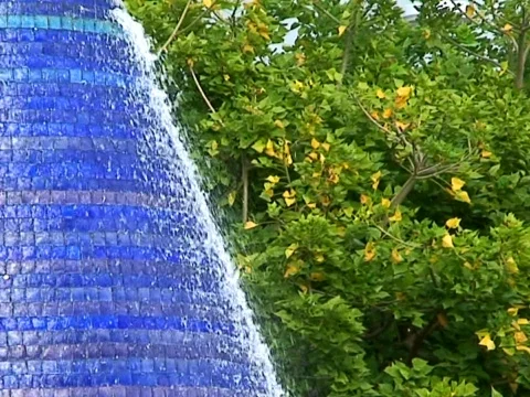 Blue and Tree Stock Footage 489795