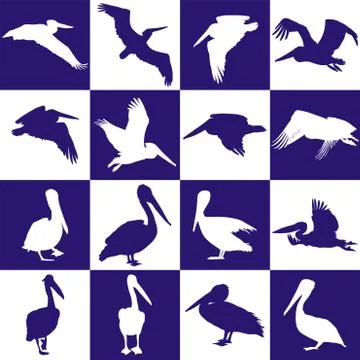 Blue and white background with pelican Stock Illustration
