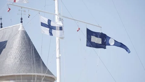 A blue and white flag with a white circle on it is flying next to a white flag w Stock Footage 302466894