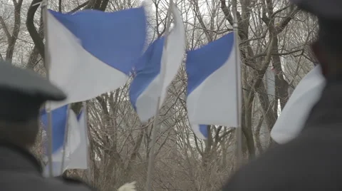 Blue and white flags in St Patrick's Day Parade in New York City Stock Footage 65051028