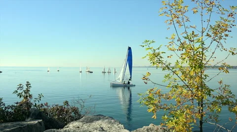 Blue and White Sail Stock Footage 42235024