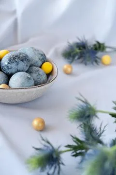 Blue and yellow easter eggs in grey plate with green eryngium. Stock Photos
