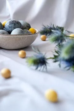 Blue and yellow easter eggs in grey plate with green eryngium. Stock Photos