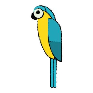 Blue and yellow macaw parrot brazil sketch Illustrazione stock