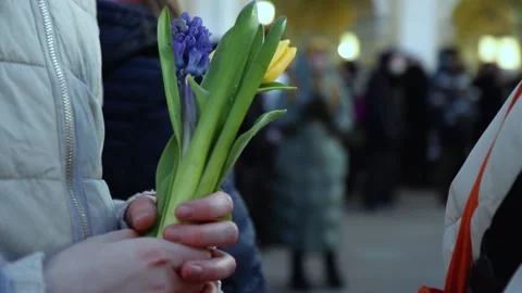 Blue and yellow, two flowers in the woman's hands, symbol of support for Ukraine Stock Footage 171097874