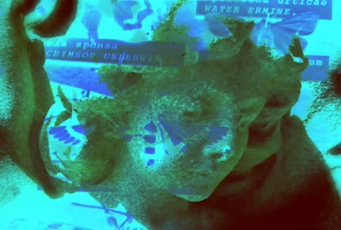 Blue angel Stock Footage 283229