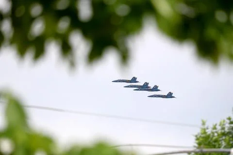 Blue Angels framed in trees Stock Photos