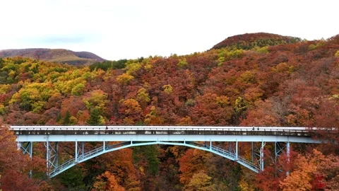 Blue Arch Bridge | Autumn Valley | Nikko - 4K Aerial Video Video stock 329052639