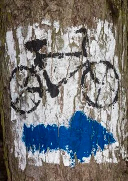 Blue arrow painted on tree bark Stock Photos