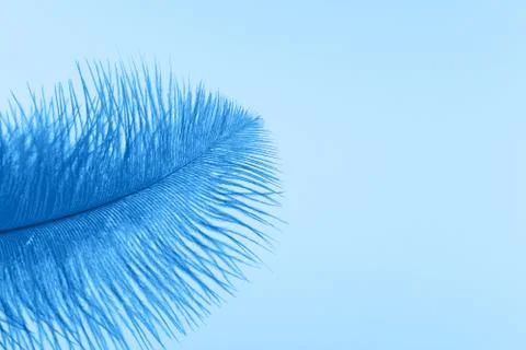 Blue artificial feather close up 스톡 사진