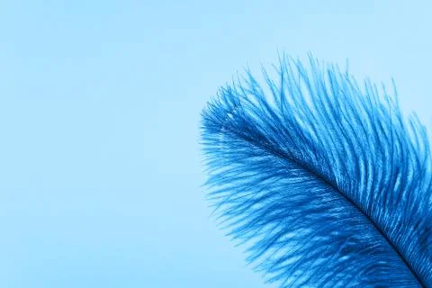 Blue artificial feather close up 스톡 사진