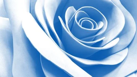 Blue artificial rose close up Stock-Fotos