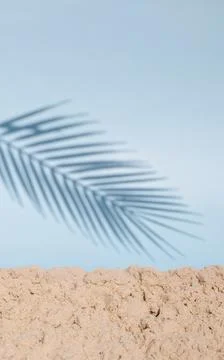Blue background and palm shadow, sand, copy space, vacation and travel concept. Stock Photos