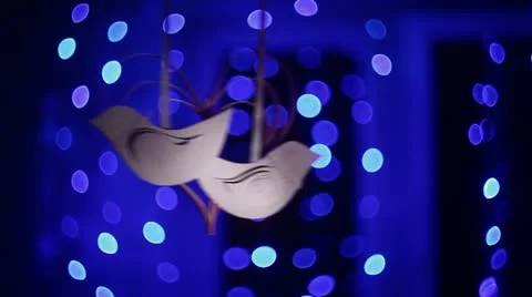 Blue Background and two birds Stock Footage 10994080