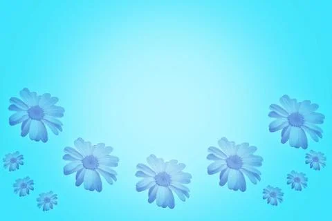 Blue background with beautiful daisies Stock Illustration