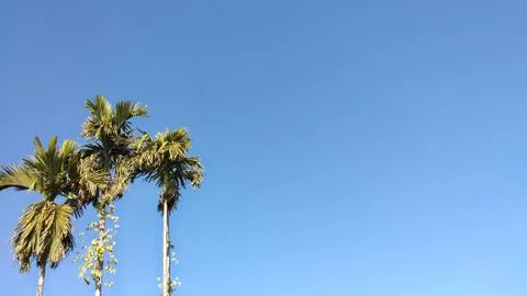 Blue background of blue sky without clouds Stock Photos