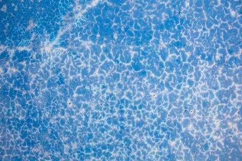 Blue background with cement dust Stock Photos