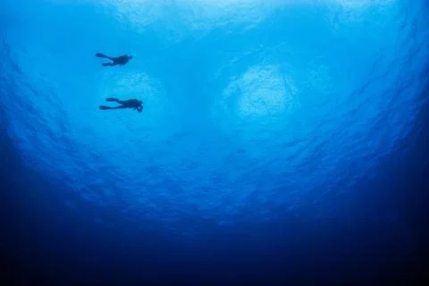 Blue background with a copuple of divers Stock Photos