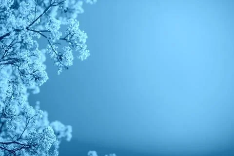 Blue background with copy space. Horizontal color filtered photo Stock Photos