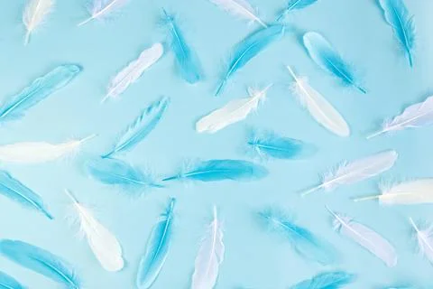 Blue background with feathers Stock Photos
