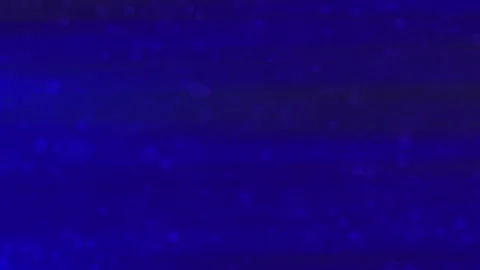 Blue background features scattering particles and blurred lights Stock Footage 295727203