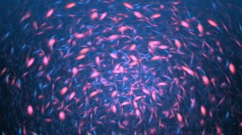 Blue background Stock Footage 360283