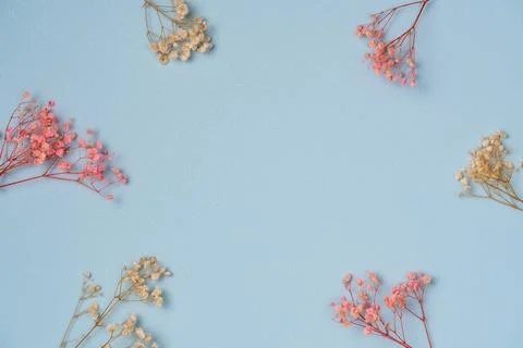 Blue background with frame of flowers. Flat lay, top view. Copy space Stock Photos