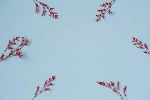 Blue background with frame of flowers. Flat lay, top view. Copy space Stock Photos