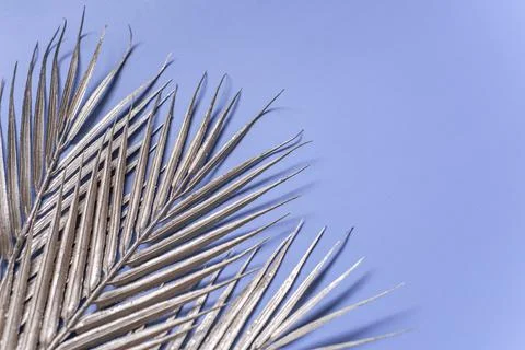 Blue background with glitter silver palm leaves and copy space Stock Photos